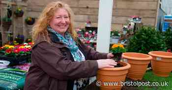 Why BBC Garden Rescue fans may never see Charlie Dimmock's garden