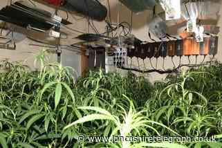 Police raided 8 cannabis farms in Blackburn and Accrington