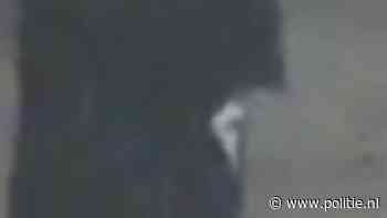 Arnhem - Gezocht - Zakkenrollen – Luthersestraat – Arnhem