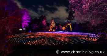 Northern Lights ticket details for Christmas run of magical new Newcastle light trail