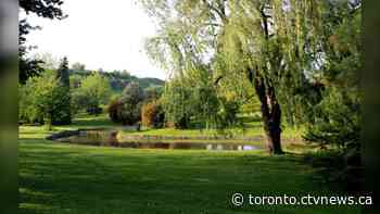 Big changes are coming to popular Toronto park. Businesses say they were left 'blindsided'