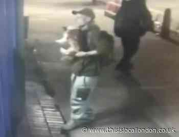Dying chihauhua left at Finsbury Park Animal Hospital