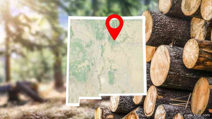 Felled trees from Hermits Peak/Calf Canyon area available as firewood