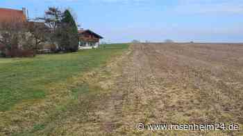 Die Eiselfinger haben die Wahl: Bürgerentscheid zum Solarpark in Perfall kommt