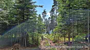 Feuerwehr Enzklösterle rückt aus: Waldbrand beim Poppelsee