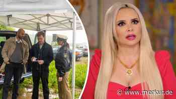 Quotenduell zwischen Daniela Katzenberger und „XY gelöst“ gipfelt in bitterer Niederlage