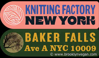 Baker Falls (old Pyramid Club space) opening this month: initial show lineup