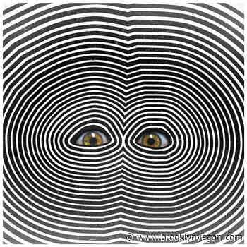 Stream Circuit Circuit's chaotic screamo/mathcore EP 'Body Songs'