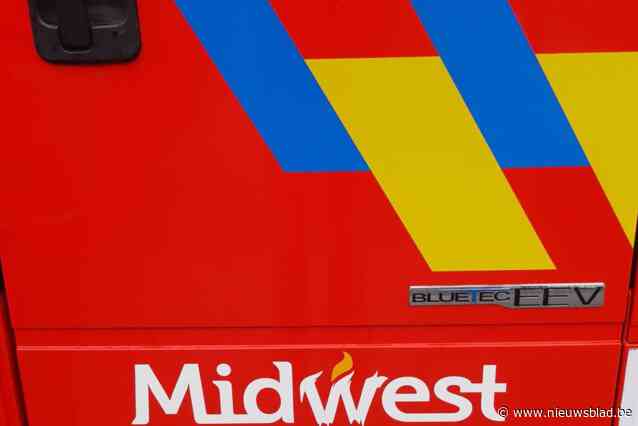 Testritje met Peugeot loopt fout: motorcompartiment van wagen brandt uit