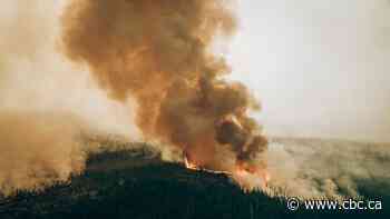 Canada still faces a high risk of wildfires for the rest of the summer, government warns