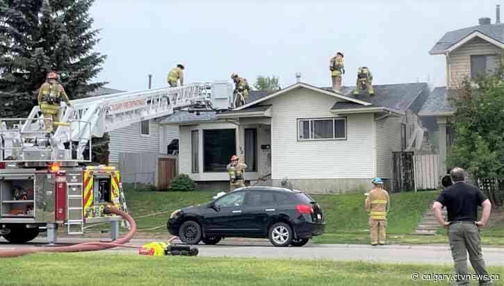 2 cats rescued from Riverbend house fire; missing dog found