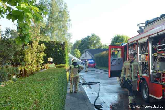 Buren voorkomen dat haagbrand overslaat naar woning in Eine