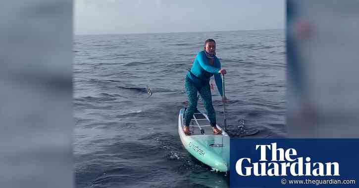 Paddleboarders in close brush with hammerhead shark off Florida coast