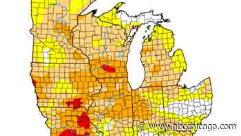 Drought conditions improve in 1 Chicago-area county, worsen in others
