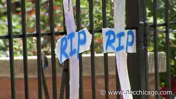 Prosecutors reveal new details on what happened before Chicago man shot his family