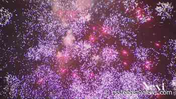 Fireworks complaints: Here's how many calls came in across the Denver metro area