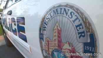 Police officer hits, kills man who walked into traffic