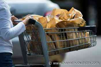 Grocery rebate checks out as a good step, but more help needed: economist