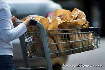 Grocery rebate checks out as a good step, but more help needed: economist