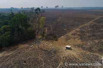 In Lula's First Six Months, Brazil Amazon Deforestation Dropped 34%, Reversing Trend Under Bolsonaro