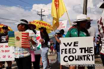 Florida Bans Driver's Licenses of Immigrants Living in US Illegally