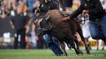 CU Buffs to induct 12 into Hall of Fame
