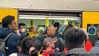 Sydney Trains apologises for system chaos caused by one sick staff member