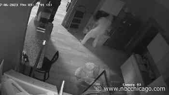 Video shows person in bunny suit burglarize Quincy laundromat