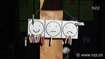 KOMMENTAR - Noten in der Primarschule: Zu oft verleiden sie den Kleinen die Lust am Lernen