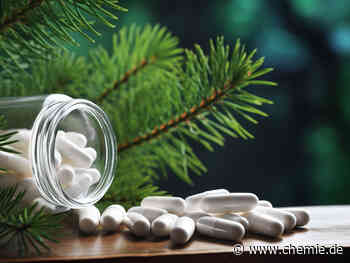 Wissenschaftler stellen gängige Schmerzmittel aus Kiefern statt aus Erdöl her