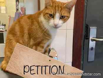 Stourbridge Junction's George the cat urges people to back petition to keep railway station ticket offices open