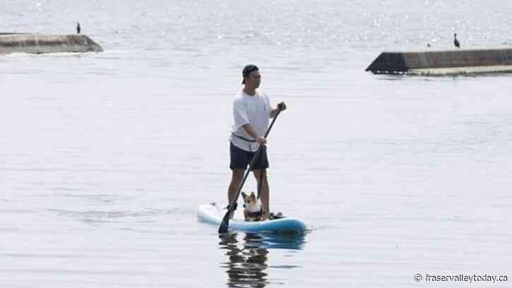 Cold front to bring relief in Central Canada but heat wave continues on coasts