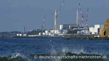 Fukushima-Folgen: China hält an Importverbot von Lebensmittel aus Japan fest