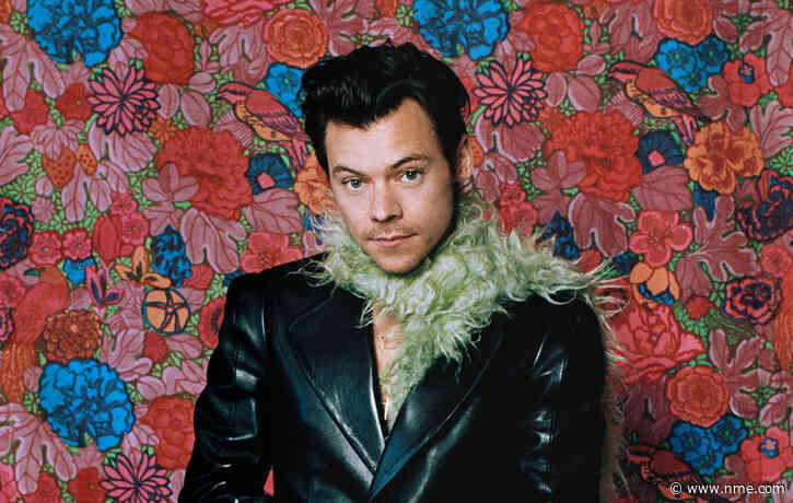 Harry Styles treats three Ukrainian refugees to tickets to his Poland show