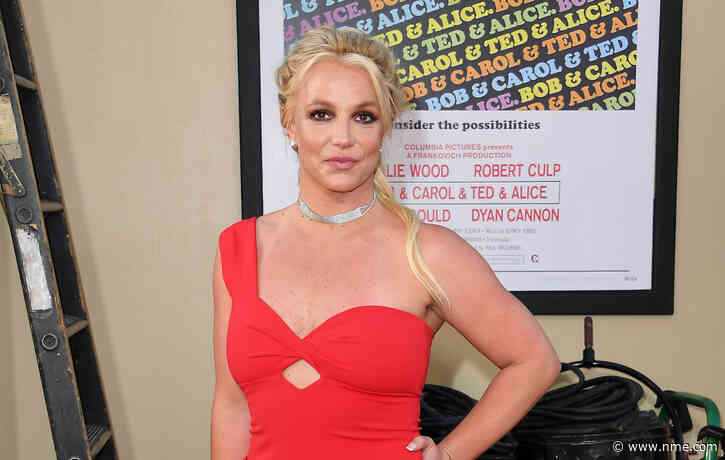 Britney Spears allegedly assaulted by San Antonio Spurs security guard