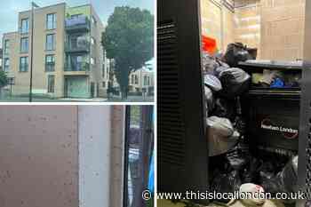 Flies at Custom House, Newham flats 'trigger fire alarm'