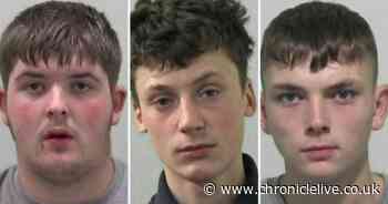 Three killers of County Durham teenager Jack Woodley can be publicly named and pictured after appeal court hearing