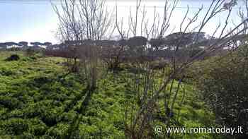 Un nuovo parco tra gli Acquedotti per rilanciare l’antica via Latina