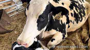 Walz highlights dairy farm struggles