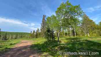 Grand Marais forest land linked to polygamous leader Warren Jeffs is up for sale