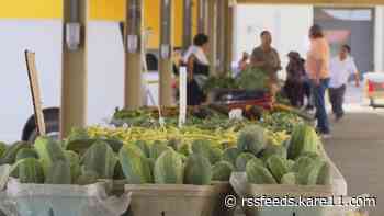 Despite recent rainfall farmers are still struggling with the drought this year