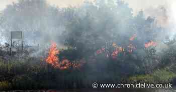 Firefighters tackle over 2,000 arson attacks this year - with Gateshead nature reserve targeted 11 times in a month