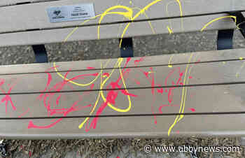 Vandals hit playground at Chilliwack elementary school