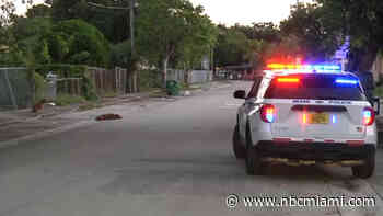 Miami Police officer shoots at dogs after woman attacked, hospitalized