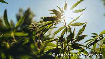 Virginia hemp farmers, retailers adjust business models after new legal restrictions enacted