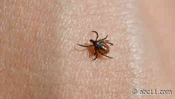 Tick season nears peak as experts report rise of tick-borne diseases