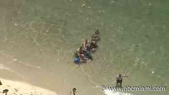 WATCH: Crews work to save dolphin washed ashore near Hollywood Beach