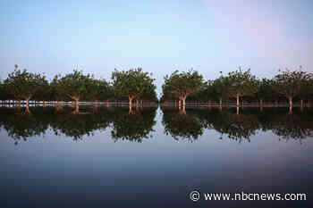 A dormant California lake that reappeared isn't going anywhere fast