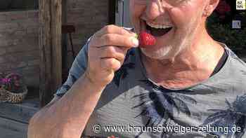 Beere, wem Beere gebührt! Erdbeeren sind lecker - und fragil