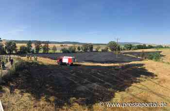 POL-PDKL: Mehrere Flächenbrände im Donnersbergkreis